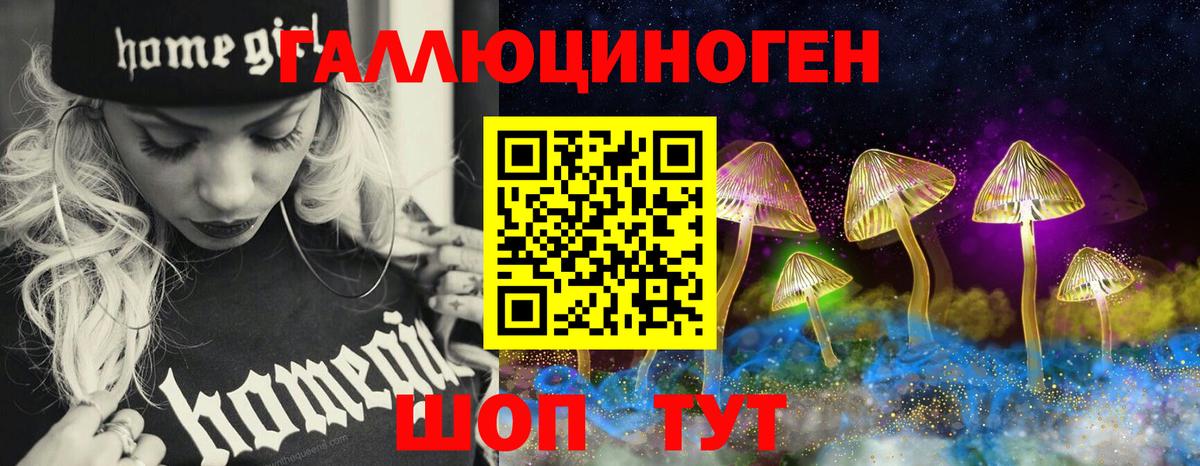 Курганинск  Галлюциногенные грибы Psilocybe  Вход с VPN 
