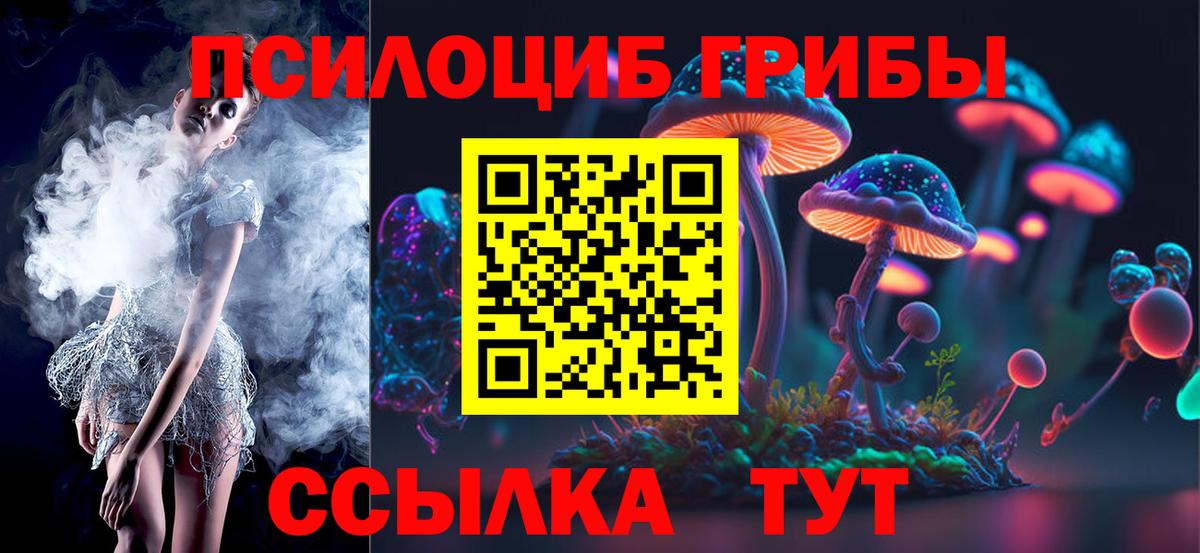 Псилоцибиновые грибы Psilocybine cubensis Курганинск